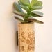 Succulent Cork Magnet,  Sierra Jade