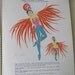 1939 World's Fair Costume Sketches Booklet - Halloween and Glamorous Dance Costumes - Illustrations - Instructions