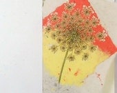 Hand Made Paper Bold Queen Anne's Lace Diamond Card --Get Well, Good Luck, Thinking of You Card