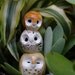 Clay Owl Friends: Harry Potter Inspired Owlery