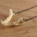 jaw bone necklace - mink jaw on gunmetal