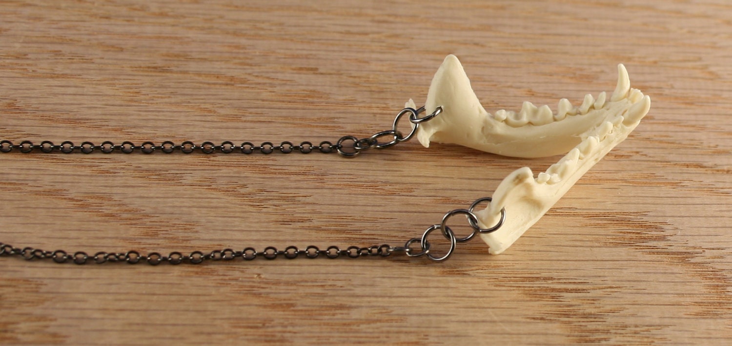 jaw bone necklace - mink jaw on gunmetal