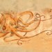 Octopus Drinking Tea, 8x10 print