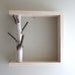 white birch forest - natural white birch wood wall art/shelf
