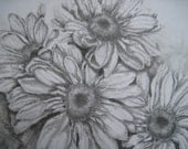 Daisies Original Graphite Drawing,  Matted 11 x 14