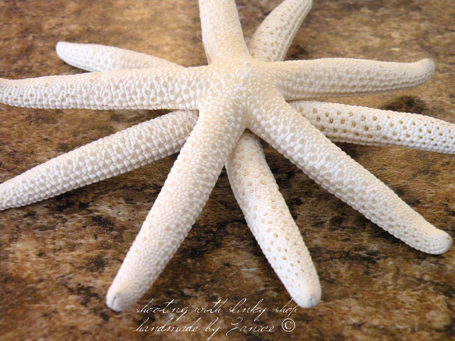 Double Layer Finger Starfish, Ornament for Home, Decor Accessory, Wedding Decor, Perfect Gift For a Friend