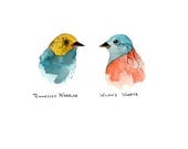 TWO WARBLERS // 5x7 archival print