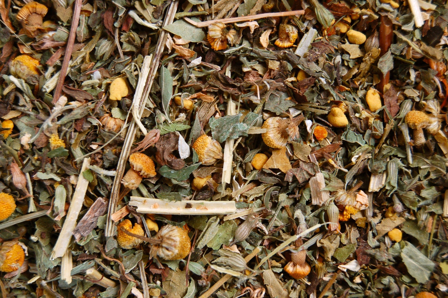 Buzzy Blend - For Children & Busy Types - Organic