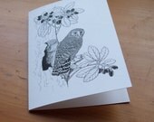 Morepork owl card