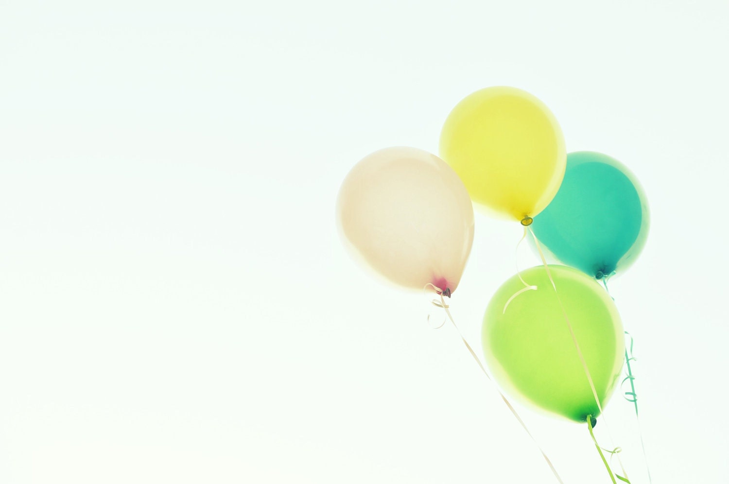 Celebrate - Fine Art Photograph 4 x 6