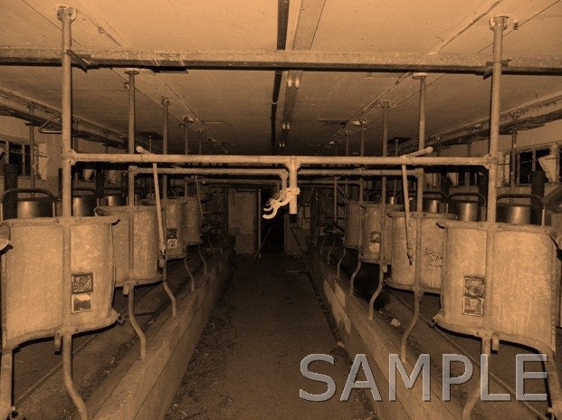 Milk House in Sepia 4 x 6 Digital Photography