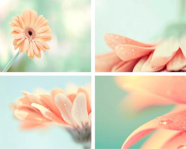 SALE Spring Decor, Peach And Mint, Spring Photography Set Print, Mint, Pastel,  Melon, Mint, Spring Wall Decor, Floral, 8x10 Print Set