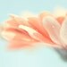 SALE Spring Decor, Peach And Mint, Spring Photography Set Print, Mint, Pastel,  Melon, Mint, Spring Wall Decor, Floral, 8x10 Print Set
