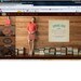 Dark Green Books Instant Library Collection by Color Photography Props Vintage Decorative Books