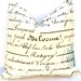 Decorative Throw Pillow Covers in Blue on Natural 20 x 20 Inches - Antique Script and Ikat Blue Cushion Covers