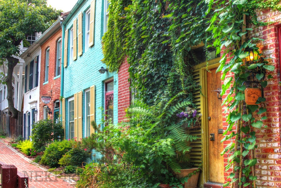 Colonia Georgetown in the District of Columbia - 8x12 Print