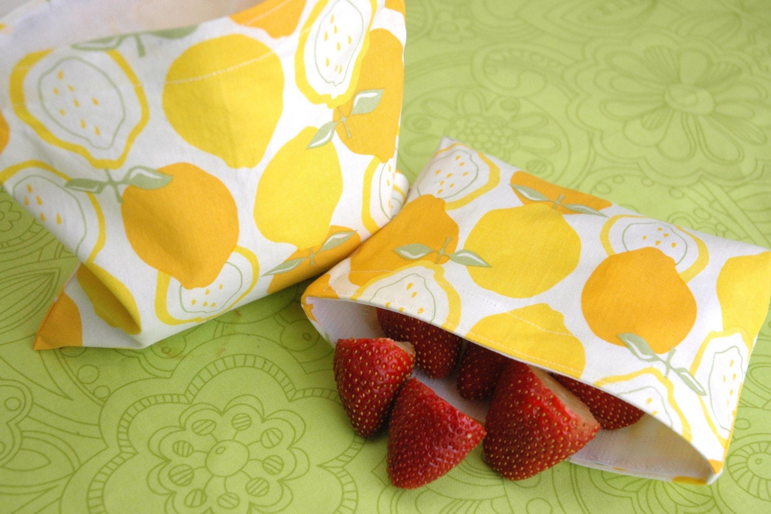 Reusable Sandwich and Snack Sack Kit in Juicy by Alexander Henry FREE SHIPPING