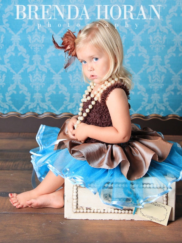 Blue and Brown Ribbon Trimmed Designer TuTu Set - Npictures Boutique
