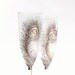 Bleached Peacock Feather Hand Painted Champagne Glasses set of 2 Pastel Violet Pink Gold Silver Light Blue