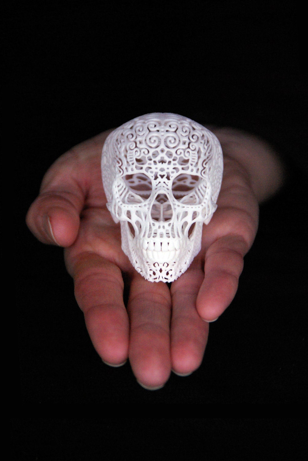 Skull Sculpture Crania Anatomica Filigre (mini)