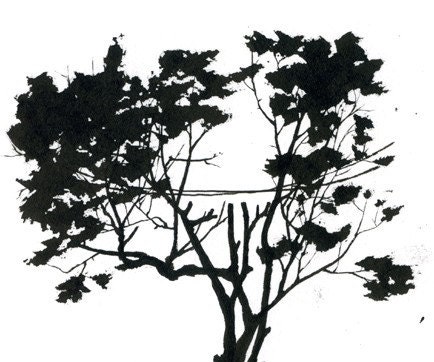 Power Line - Original Ink Drawing