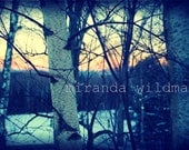 right here 8x10 photograph by Miranda Wildman FREE SHIPPING