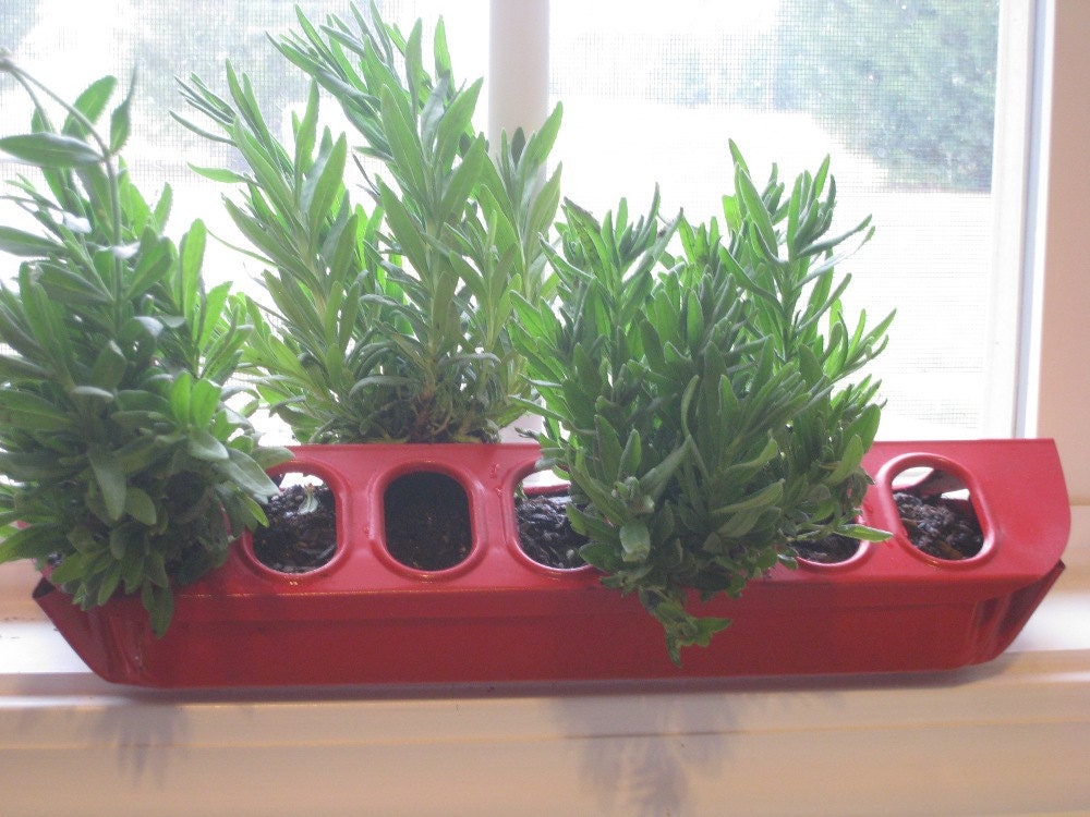 Upcycled Poultry Herb Planter Center Piece