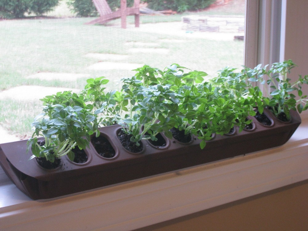 Upcycled Poultry Herb Planter Center Piece
