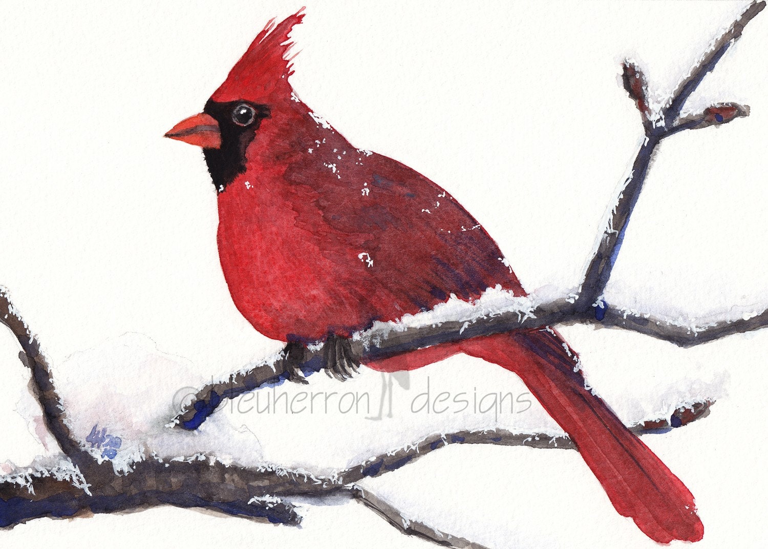 red cardinal- Mister Cardinal- 5x7 watercolor print