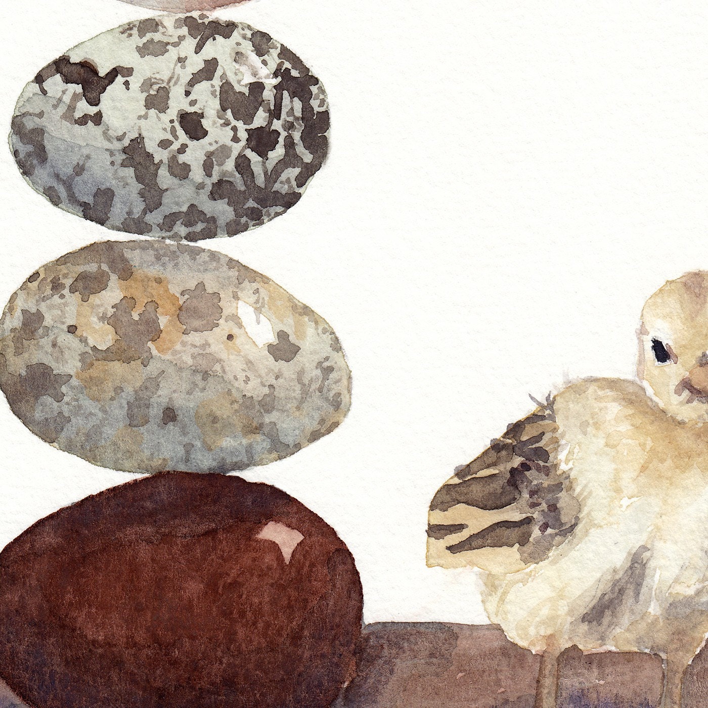 chicken watercolor- Chick and Eggs- 5x7 print