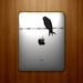 Barbed Wire Bird Decal - Bird on a Wire Decal - Black Bird - Vinyl iPad Decal