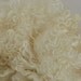 Wensleydale ADULT Coated Locks Wool Fleece Spinning and Felting Fiber Washed Locks