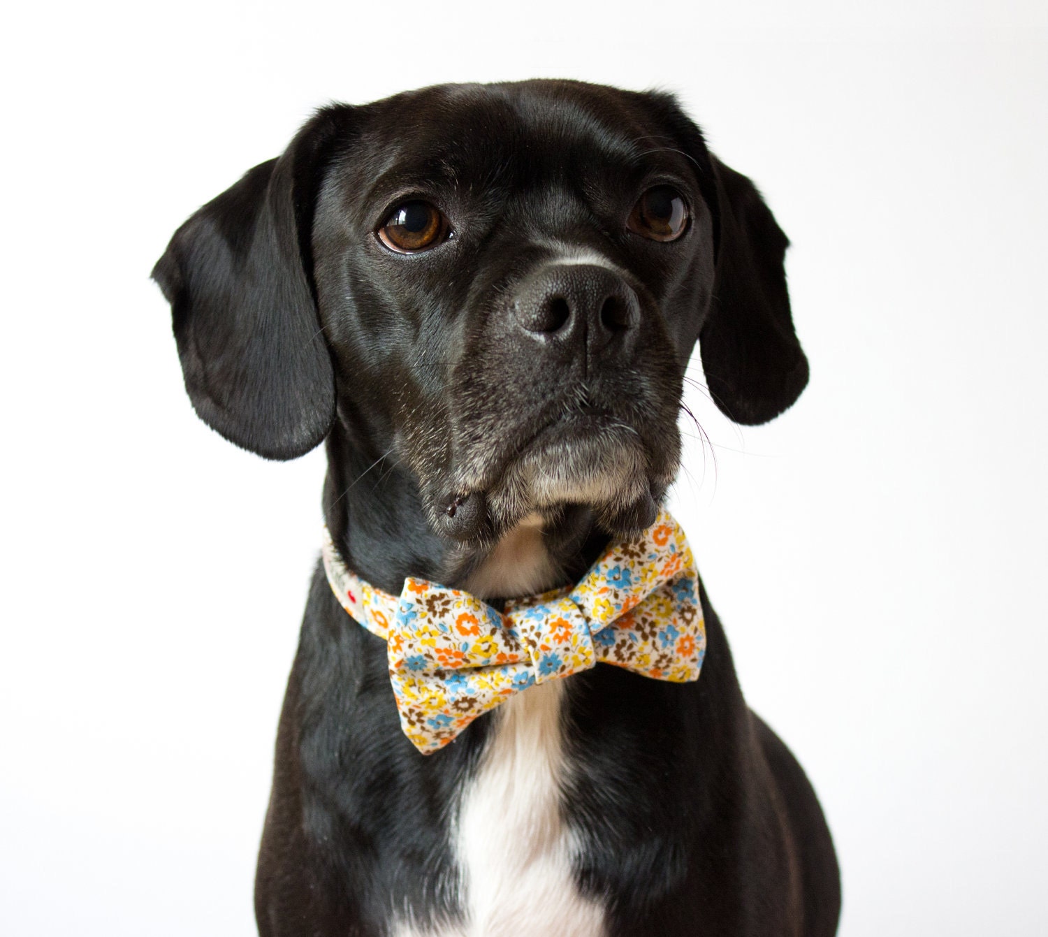 Dainty Floral Dog Bow Tie Collar