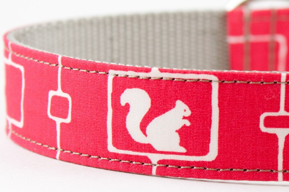 Neon Pink Squirrel and Mushrooms Dog Collar