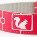 Neon Pink Squirrel and Mushrooms Dog Collar
