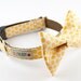 Sunshine Honeycomb Bowtie Dog Collar