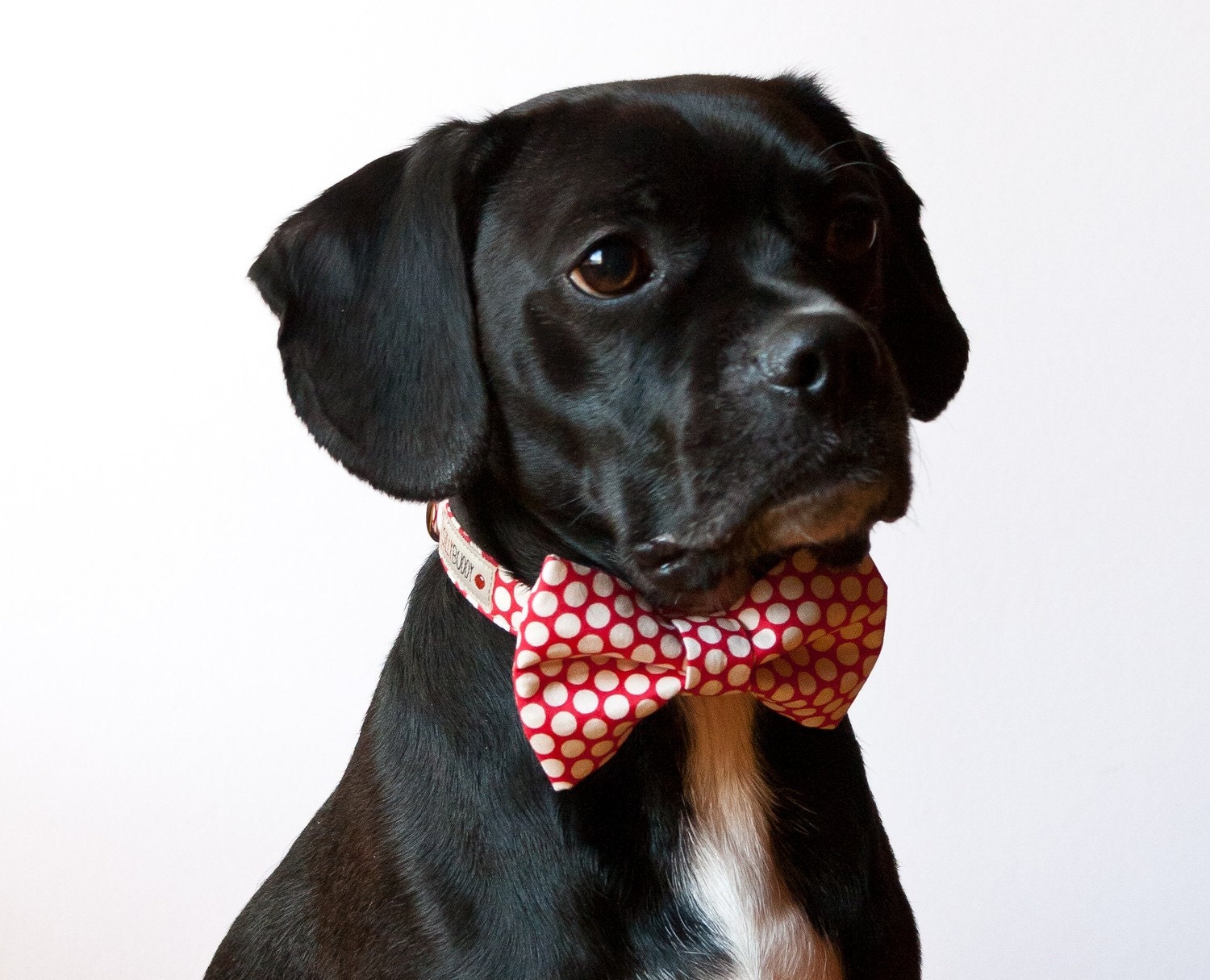 Red Honeycomb Bow Tie Dog Collar by SillyBuddy on Etsy