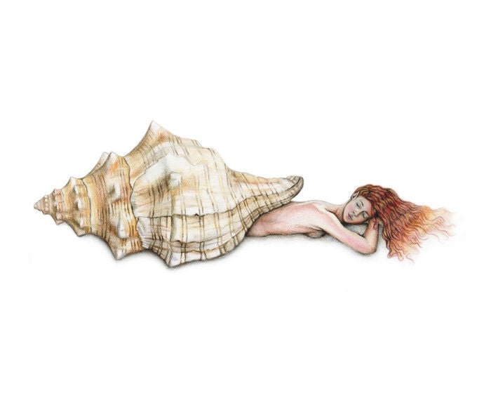 Triton Shell Mermaid Art Print 8x10 Beach Decor