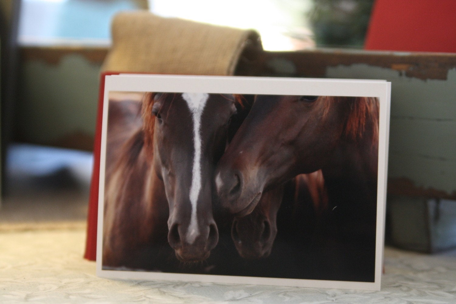 horse whispers - fine cards (and farm fresh) fine farm photography