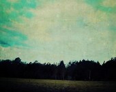 Forest 5x5 Fine Art Photography Print