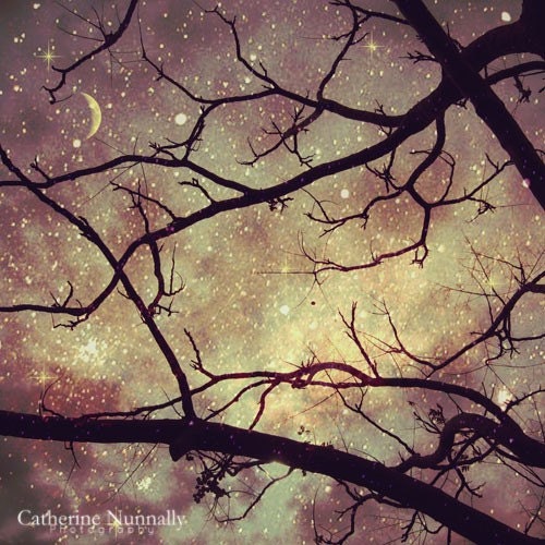 Starlight 8x8 Fine Art Photography Print
