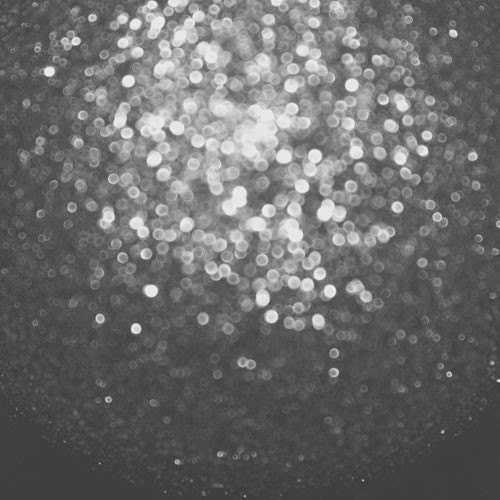 FREE SHIPPING- Glitter 8x8 B&W Fine Art Photography Print
