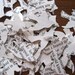 300 Confetti Romance Novel Birds FREE SHIPPING