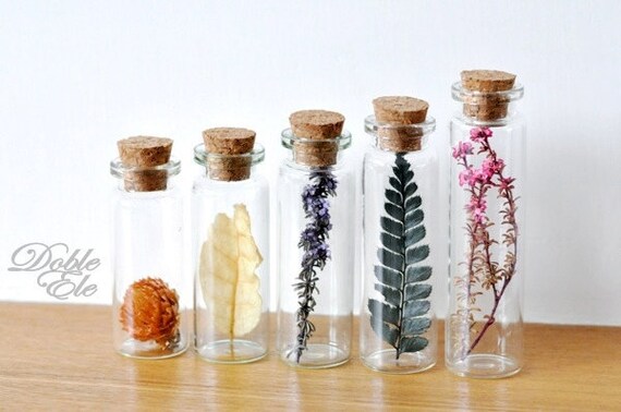 Gifts of Nature