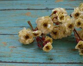 Silk Flowers - One Lot Artificial Pom Pom Roses in Cream - VERY SMALL FLOWERS