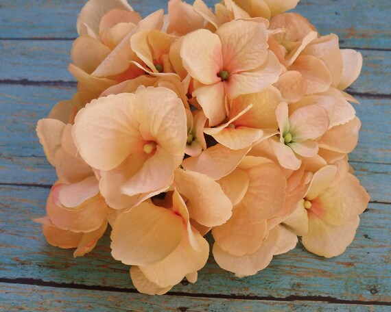 Silk Flowers One Jumbo Hydrangea Head in Peach by BlissfulSilks