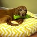Large Round Zig Zag Chevron Dog Bed with Insert - Pick your color - Pick your size - Free Shipping