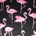 Pink Flamingo Fabric Cotton Material, Blank