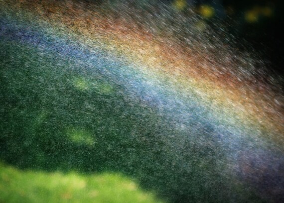Rainbow Print Sprinkler Fun in The Sun 5x7 Colorful Fine Art Photography - HoneybeeDawn