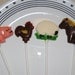 12 Chocolate Barnyard Cow, Horse, Pig, Sheep, And Rooster Lollipops